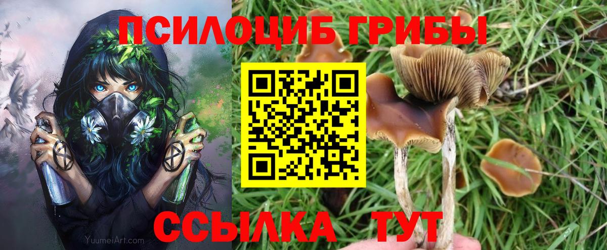Галлюциногенные грибы ЛСД  Вход с VPN  Крымск  Галлюциногенные грибы MAGIC MUSHROOMS 